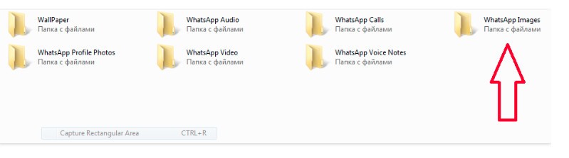 Скинуть фото на компьютер с Ватсапа