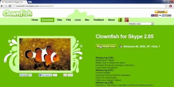 Clownfish