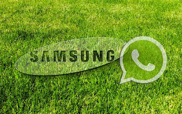 Samsung и Whatsapp