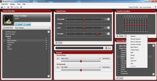MorphVox Pro