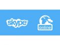 skype online