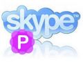 Pamela for Skype