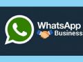 whatsapp business