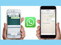 пересылка сообщений и файлов в Whatsapp